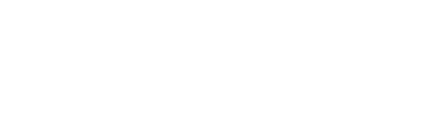 Option Diversité